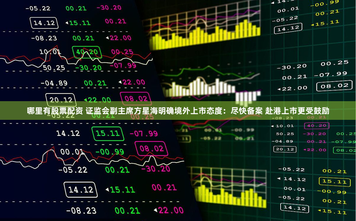 哪里有股票配资 证监会副主席方星海明确境外上市态度：尽快备案 赴港上市更受鼓励