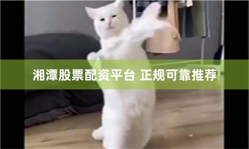 湘潭股票配资平台 正规可靠推荐