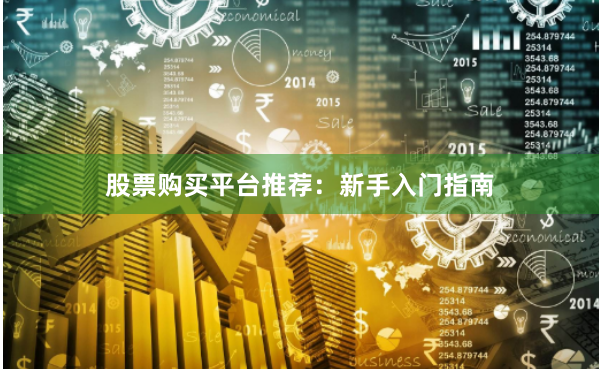 股票购买平台推荐：新手入门指南