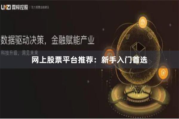 网上股票平台推荐：新手入门首选